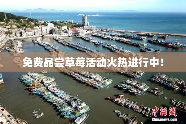 免费品尝草莓活动火热进行中！