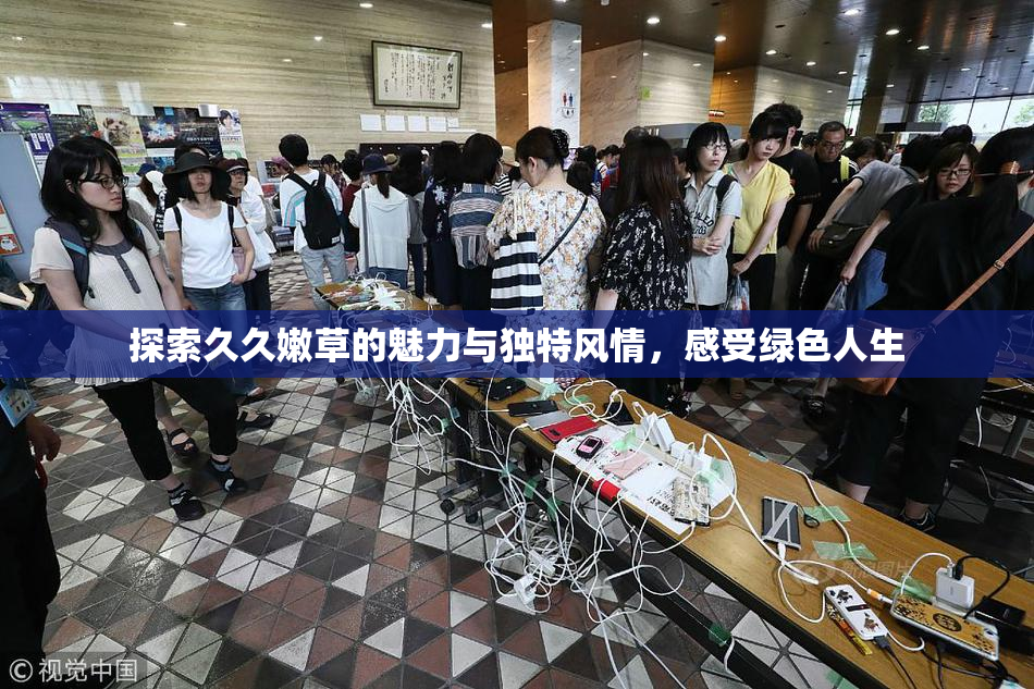 探索久久嫩草的魅力与独特风情，感受绿色人生