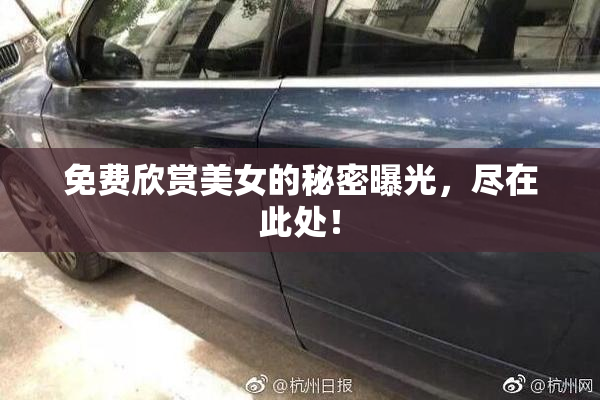 免费欣赏美女的秘密曝光，尽在此处！