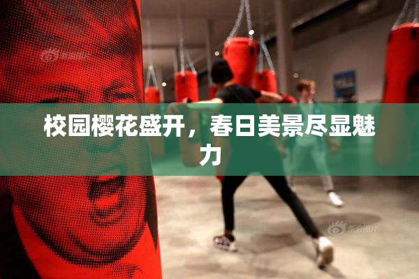 校园樱花盛开，春日美景尽显魅力