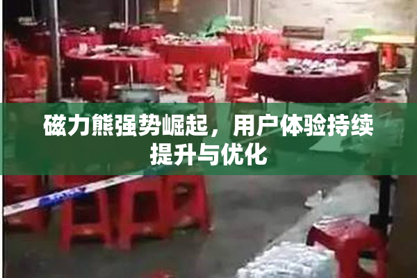 磁力熊强势崛起，用户体验持续提升与优化
