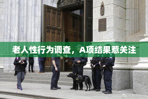 老人性行为调查，A项结果惹关注