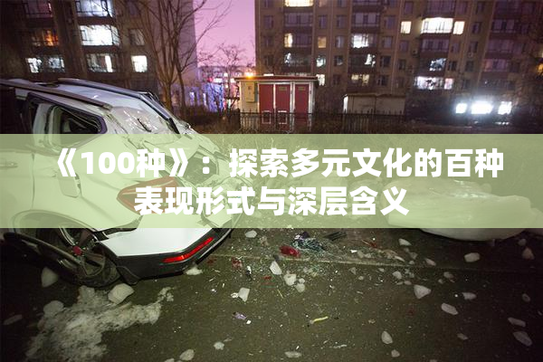 《100种》：探索多元文化的百种表现形式与深层含义