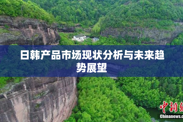 日韩产品市场现状分析与未来趋势展望