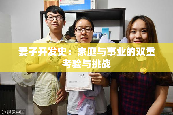 妻子开发史：家庭与事业的双重考验与挑战
