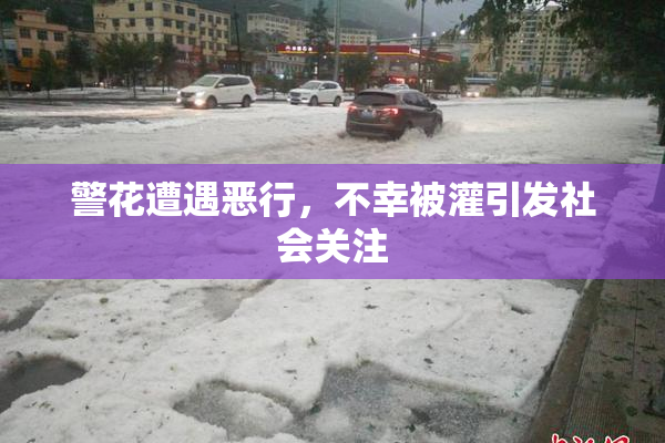 警花遭遇恶行，不幸被灌引发社会关注