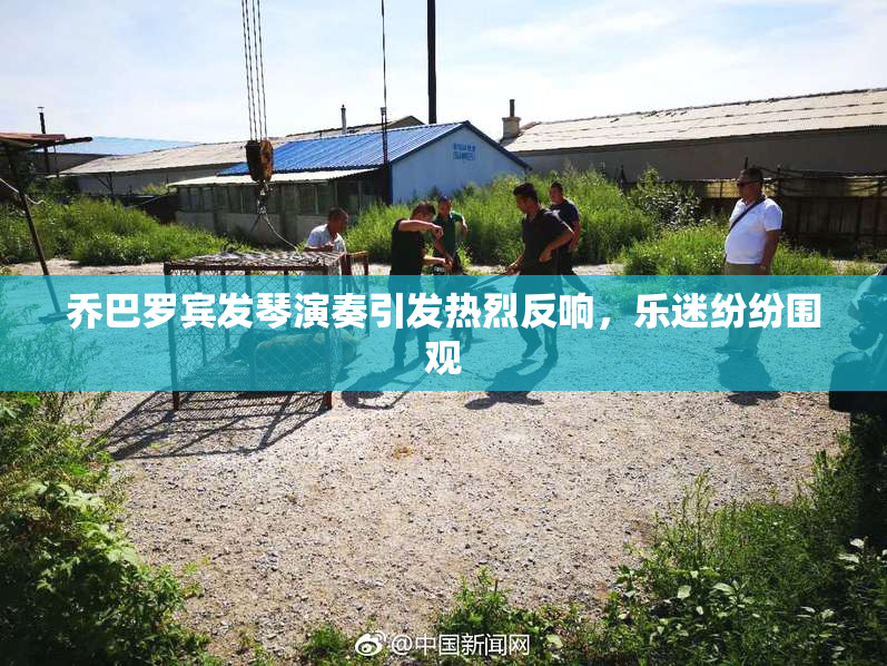 乔巴罗宾发琴演奏引发热烈反响，乐迷纷纷围观