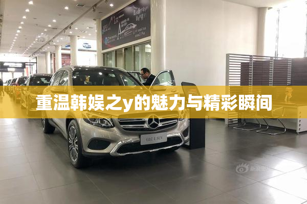 重温韩娱之y的魅力与精彩瞬间