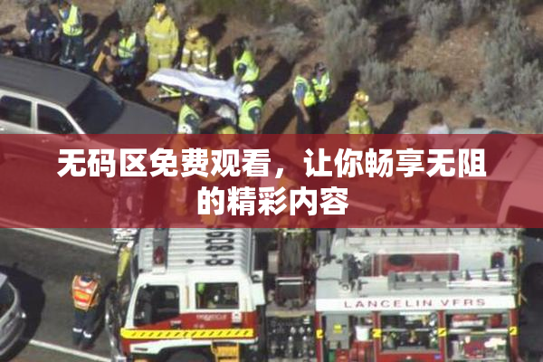 无码区免费观看，让你畅享无阻的精彩内容