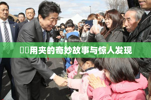 妺妺用夹的奇妙故事与惊人发现
