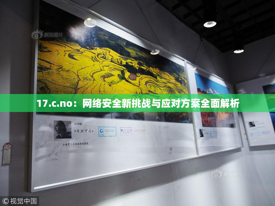 17.c.no：网络安全新挑战与应对方案全面解析