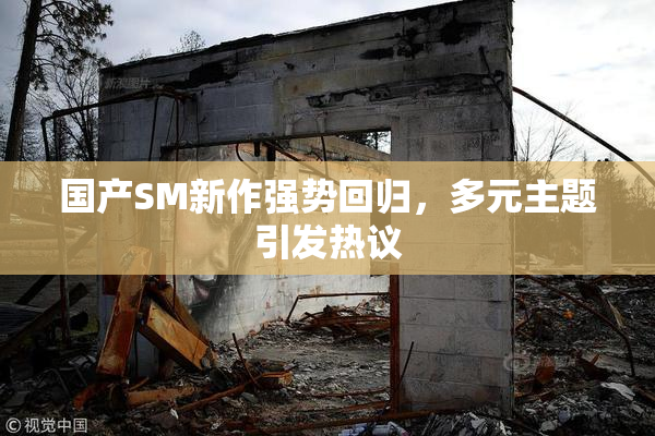 国产SM新作强势回归，多元主题引发热议