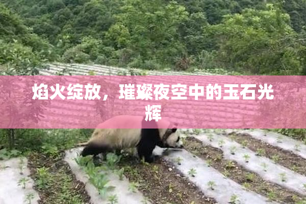 焰火绽放，璀璨夜空中的玉石光辉