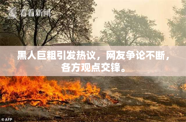 黑人巨粗引发热议，网友争论不断，各方观点交锋。