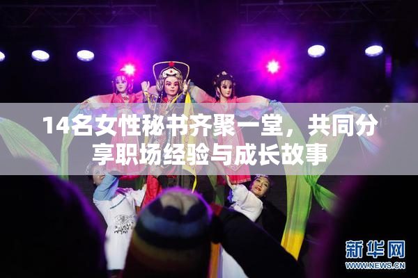 14名女性秘书齐聚一堂，共同分享职场经验与成长故事