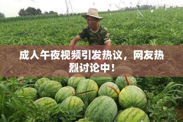 成人午夜视频引发热议，网友热烈讨论中！