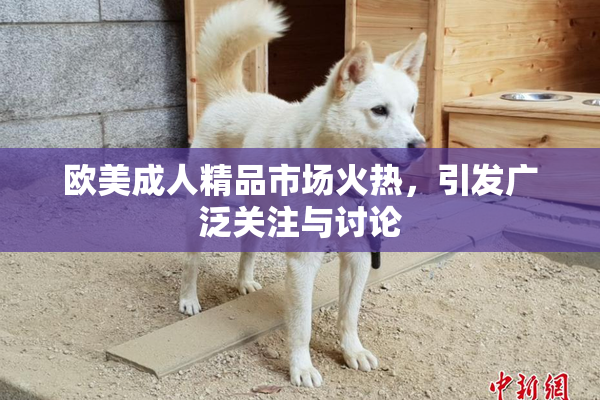 欧美成人精品市场火热，引发广泛关注与讨论