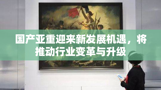 国产亚重迎来新发展机遇，将推动行业变革与升级
