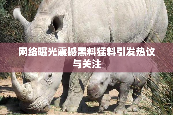 网络曝光震撼黑料猛料引发热议与关注