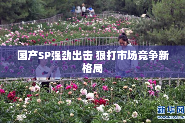 国产SP强劲出击 狠打市场竞争新格局