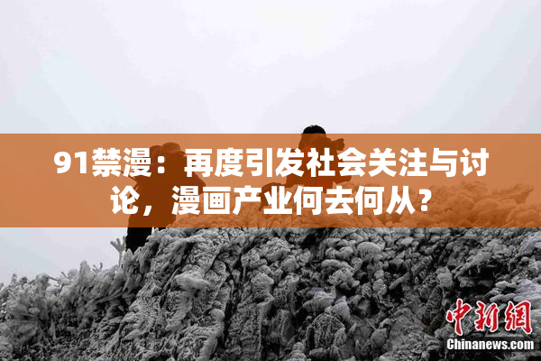 91禁漫：再度引发社会关注与讨论，漫画产业何去何从？