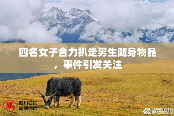四名女子合力扒走男生随身物品，事件引发关注