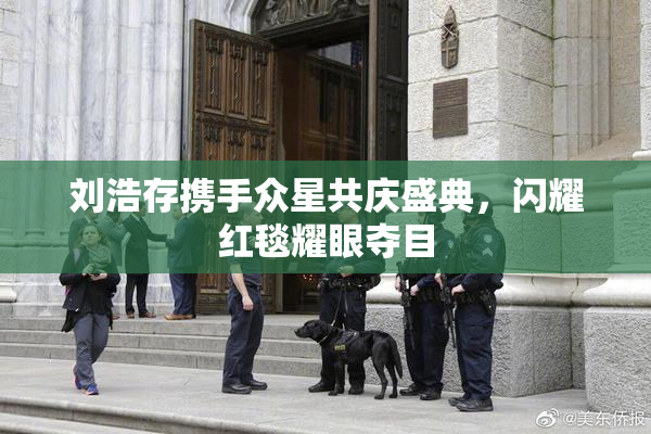 刘浩存携手众星共庆盛典，闪耀红毯耀眼夺目