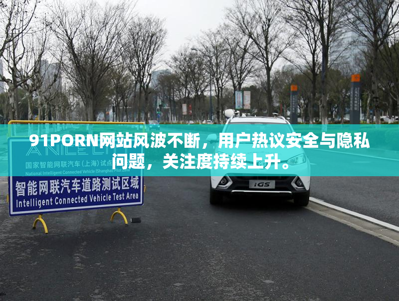 91PORN网站风波不断，用户热议安全与隐私问题，关注度持续上升。