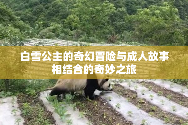白雪公主的奇幻冒险与成人故事相结合的奇妙之旅