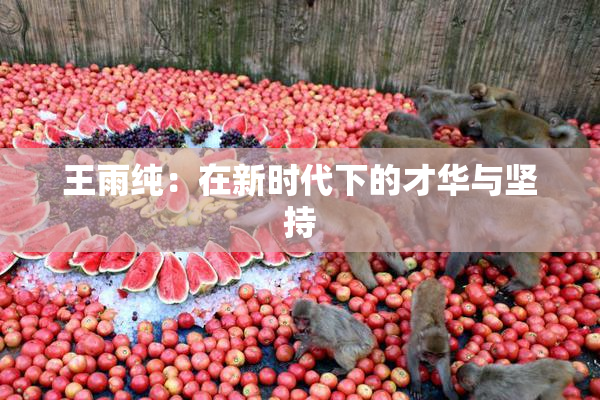 王雨纯：在新时代下的才华与坚持