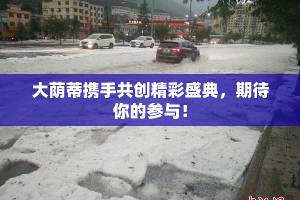 大荫蒂携手共创精彩盛典，期待你的参与！