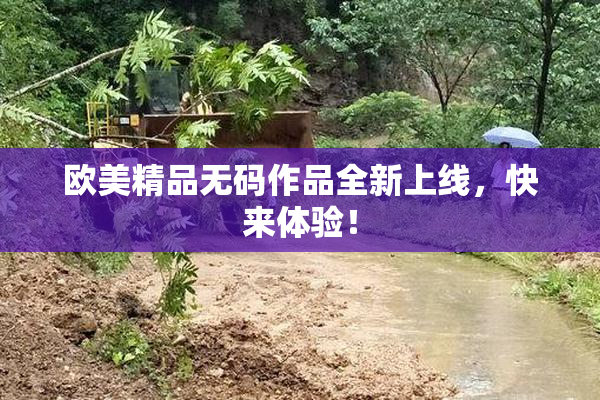 欧美精品无码作品全新上线，快来体验！