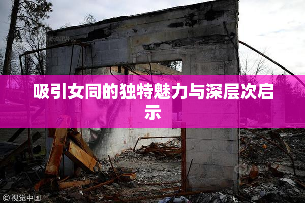 吸引女同的独特魅力与深层次启示