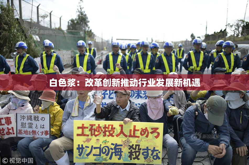白色浆：改革创新推动行业发展新机遇