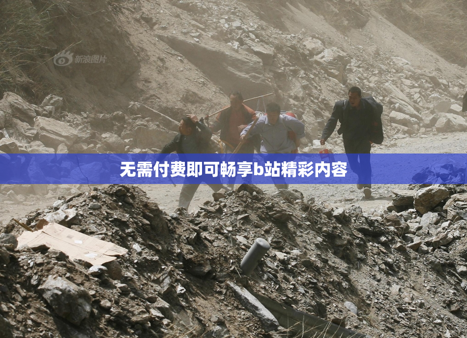 无需付费即可畅享b站精彩内容