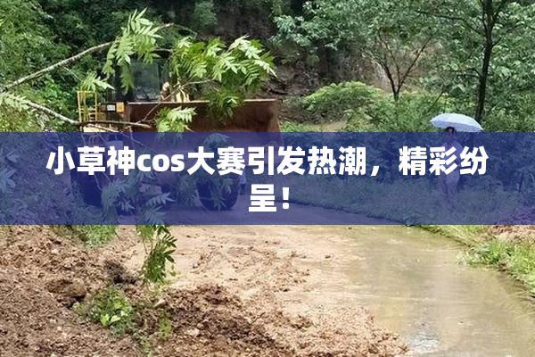 小草神cos大赛引发热潮，精彩纷呈！