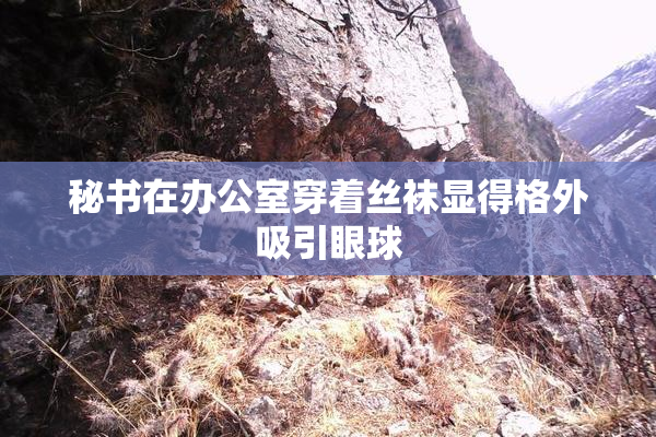 秘书在办公室穿着丝袜显得格外吸引眼球