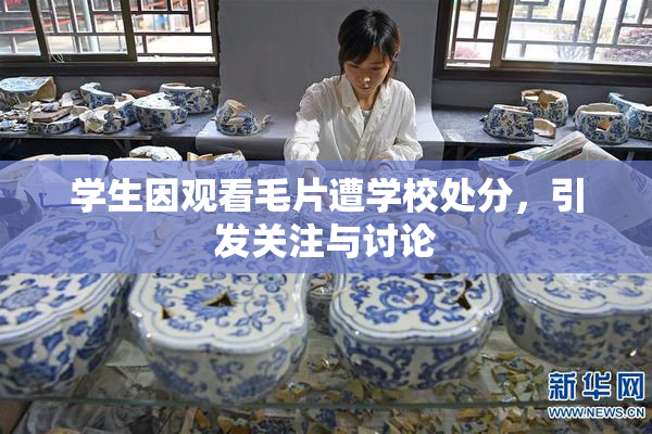 学生因观看毛片遭学校处分，引发关注与讨论