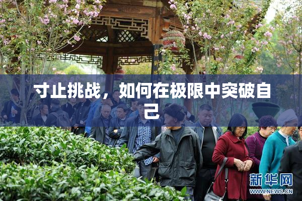寸止挑战，如何在极限中突破自己