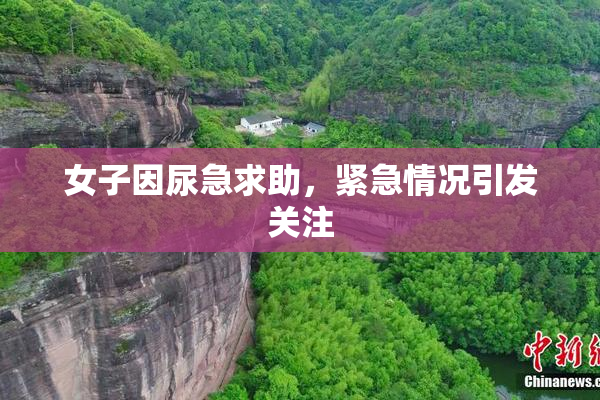 女子因尿急求助，紧急情况引发关注