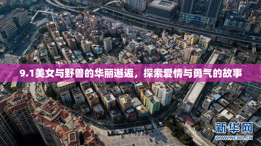9.1美女与野兽的华丽邂逅，探索爱情与勇气的故事