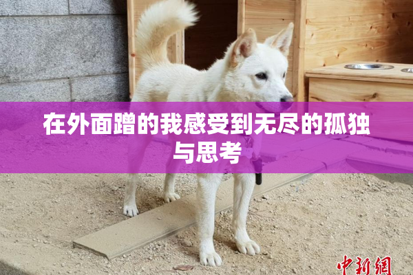 在外面蹭的我感受到无尽的孤独与思考