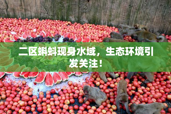 二区蝌蚪现身水域，生态环境引发关注！