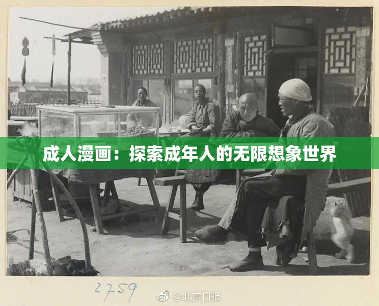 成人漫画：探索成年人的无限想象世界
