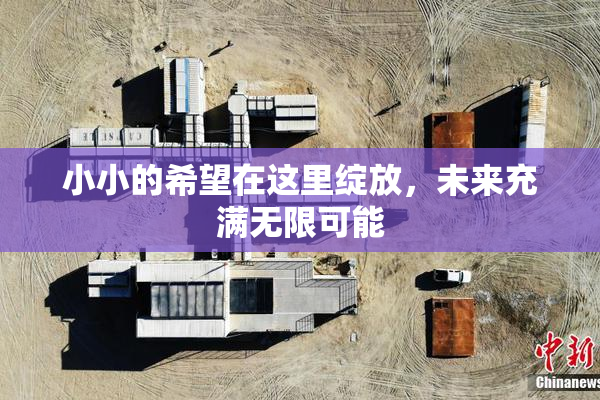 小小的希望在这里绽放，未来充满无限可能