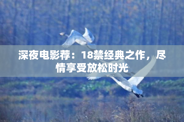 深夜电影荐：18禁经典之作，尽情享受放松时光