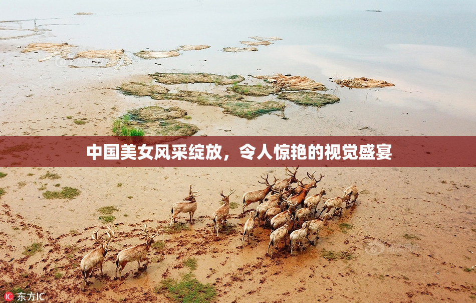 中国美女风采绽放，令人惊艳的视觉盛宴