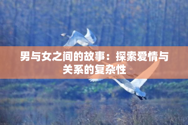 男与女之间的故事：探索爱情与关系的复杂性