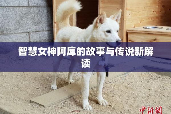 智慧女神阿库的故事与传说新解读