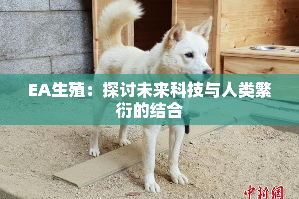 EA生殖：探讨未来科技与人类繁衍的结合
